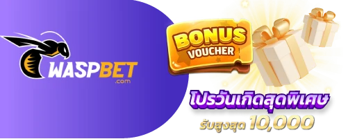 waspbet โปรวันเกิด รับสูงสุด10000